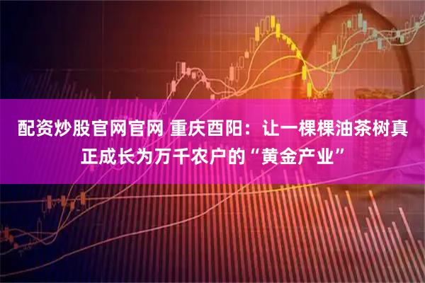 配资炒股官网官网 重庆酉阳：让一棵棵油茶树真正成长为万千农户的“黄金产业”